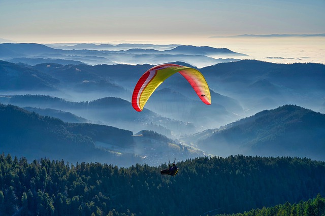 Vol en parapente avec Pra Loup Parapente, Activités sportives à Pra